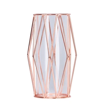 

Nordic Style Wrought Iron Holder Vase Clear Glass Test Tube Hydroponic Container Flower Vase Flowerpot Glass Bottle Home Decor