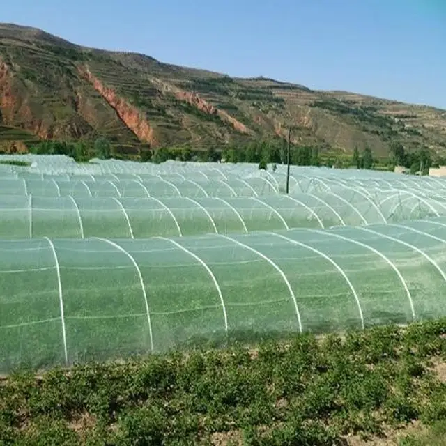 Kerti Növényi Gyümölcsvédő Légy Rovarriasztó Háló Kertészeti Nettó Borító (Zöld) - Image 2