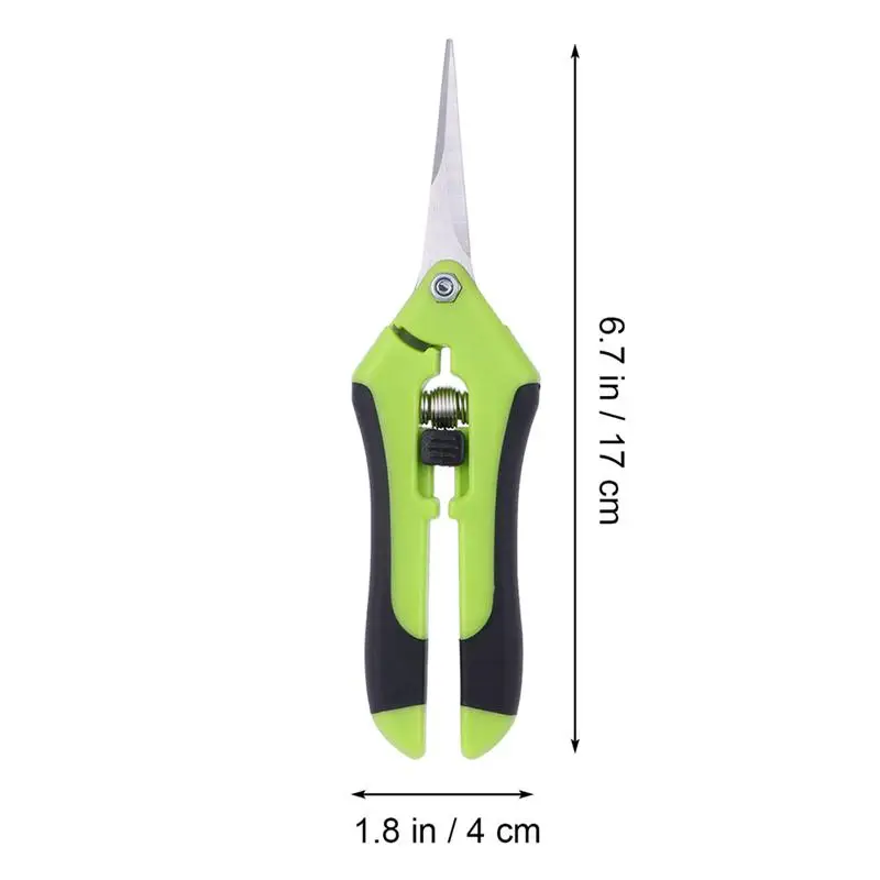 HLB1Z6AeNjTpK1RjSZKPq6y3UpXah