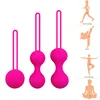 Safe Silicone Smart Ball Vibrator Sport Egg Ball Vagina Tighten Exercise Machine Sex Toy for Women Vaginal Geisha Shrink Ball 1