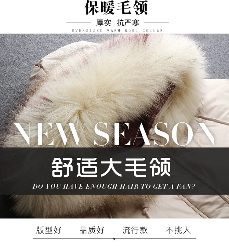 Winter New Style WOMEN'S Dress down Jacket Cotton-padded Clothes Thick Coat Short Puffy Versatile down Coat Cotton-padded C