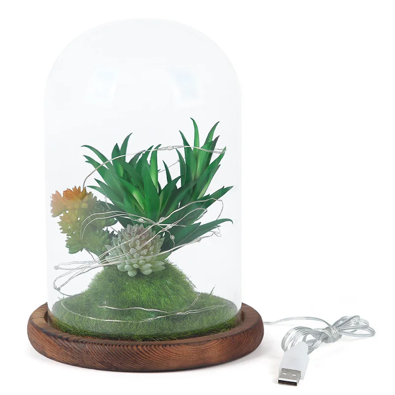 

ELEG-Simulation Succulent Glass Cover Micro-Landscape Home Decoration Jewelry Holiday Gift Birthday Gift