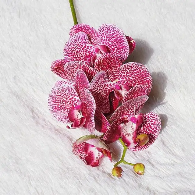 rose Модная Орхидея, искусственные цветы, сделай сам, искусственная Орхидея, Бабочка, Шелковый букет цветов, фаленопсис, свадебное украшение для дома - Цвет: rose