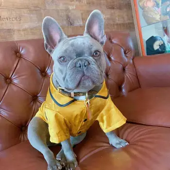 

dog clothes dog coat dog pajamas dog sleep coat silk dress Luxury dog pajamas chihuahua teddy dog French Bulldog two colors