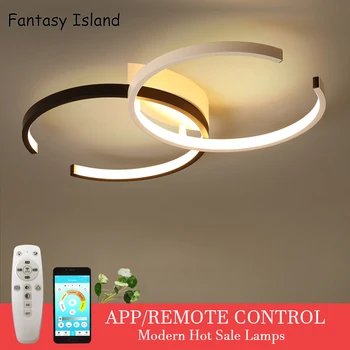 

LED Ceiling Light Lighting Fixture Double C Ceiling Lamp Flush Mount Dimmable with Remote Control Modern Chic Style Ring-Desi