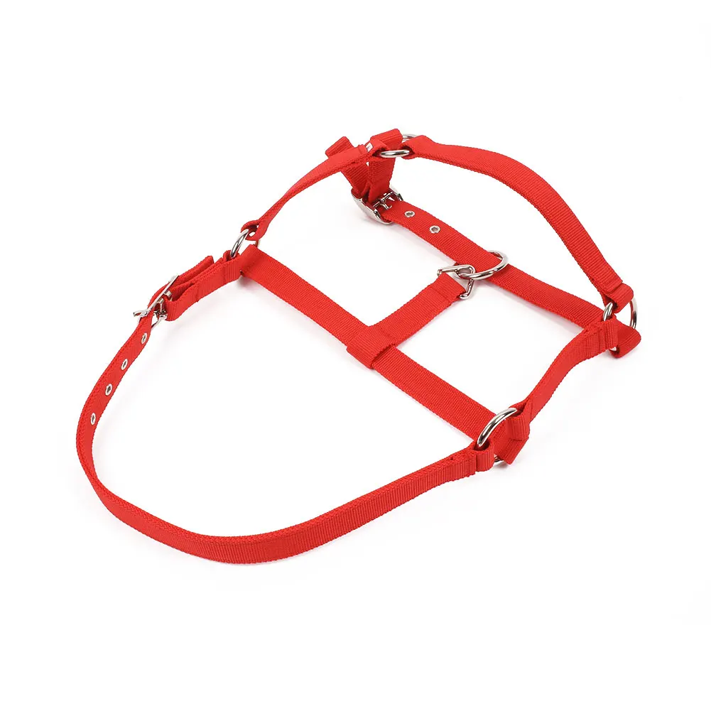 Horse Riding Belt Bridle Adjustable Halter Headstall Horsing Accessory Red/Blue