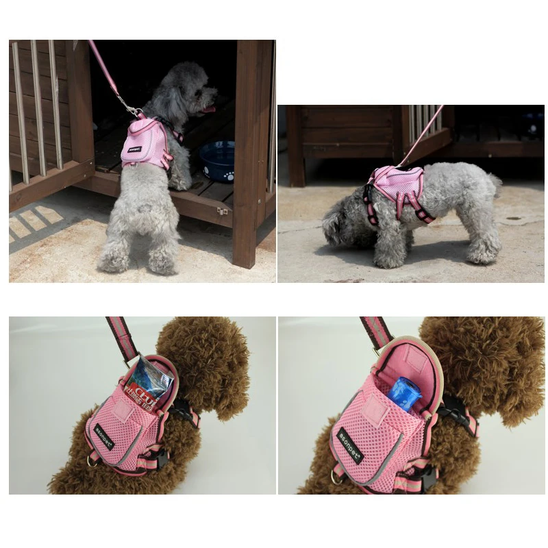 Fashion Sports Pet Dog Backpack Luxury Mesh Pink Coffee Puppies Small Animals School Bag With Leash Set For Chihuahua Yorkshire