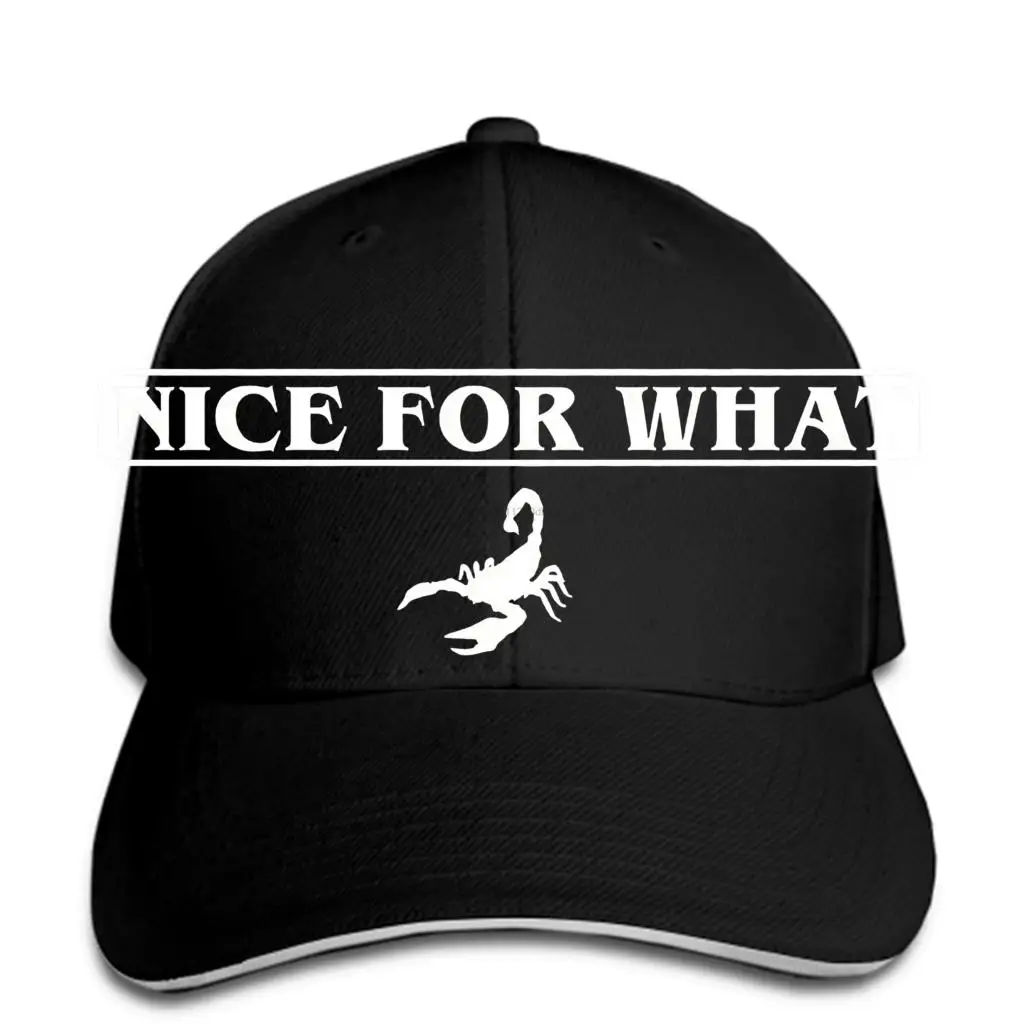 Хорошо для того, что скорпион унисекс бейсбольная Кепка Дрейк snapback шляпа пиковая