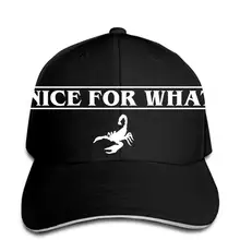 Хорошо для того, что скорпион унисекс бейсбольная Кепка Дрейк snapback шляпа пиковая