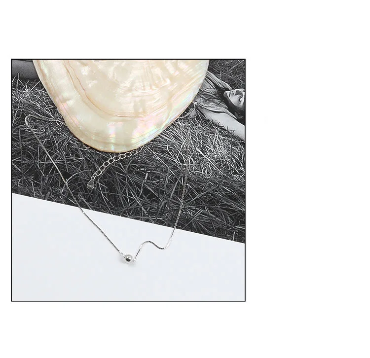 8636941127_1732139996