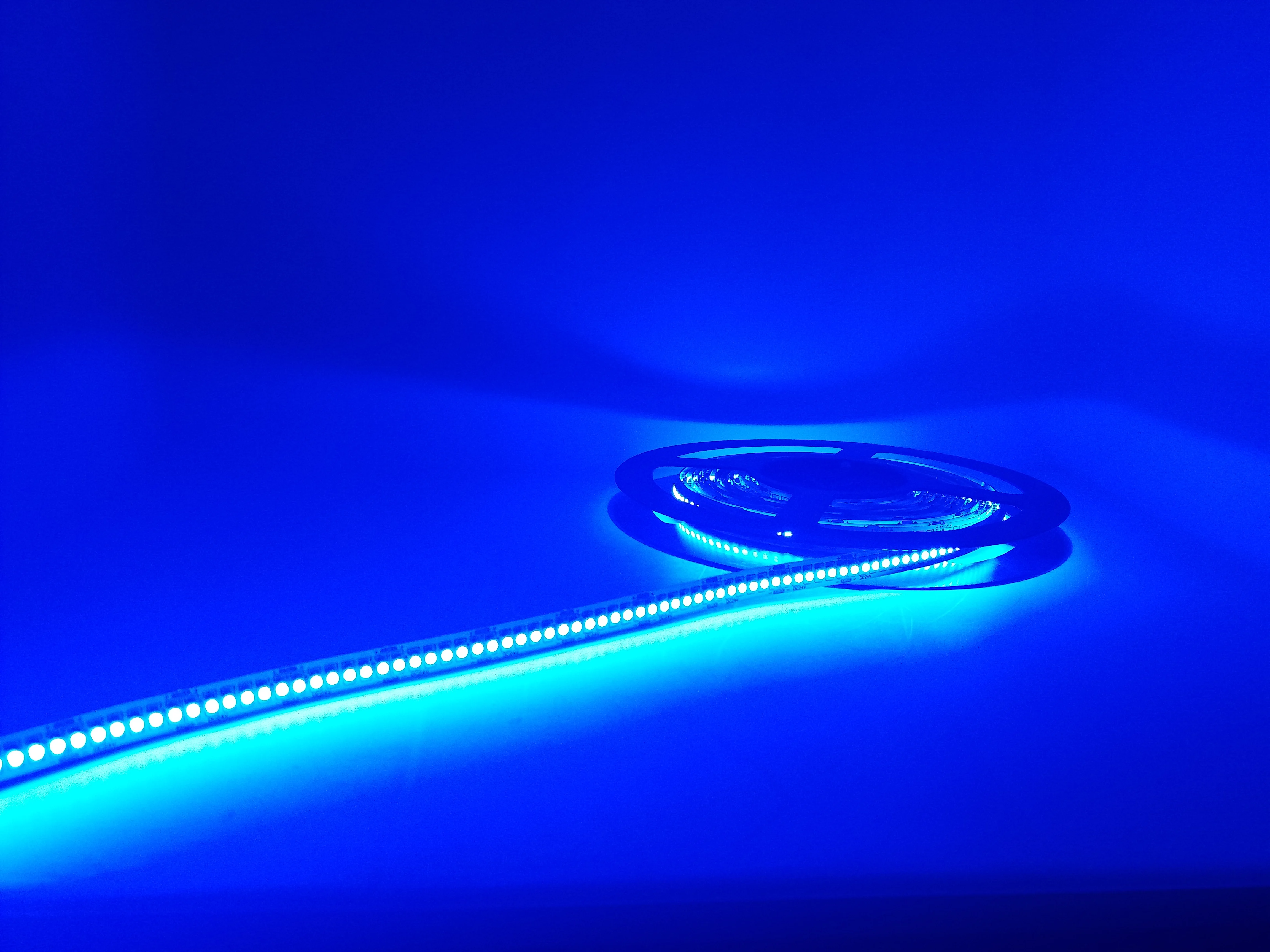 Бесплатная доставка 5 м Катушка 24 В 3528 SMD 240 светодиодов/метр синего цвета