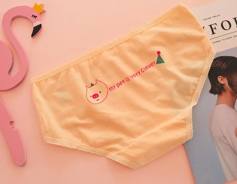 seamless panties (20)