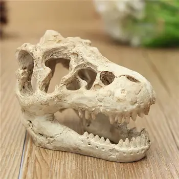 

Resin Aquarium/Terrarium Decoration Crocodile Skull For Fish Tank Resin Orn Dinosaur resin skull reptile and lion lizard