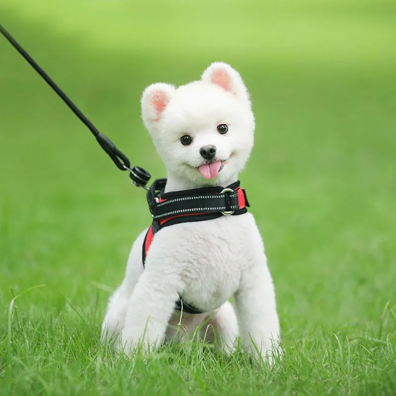 

Puppy Nylon Clasp Closure Leash Accessory Chest Strap Puppy Dedicated Strap Magic Stickers Reflective Durable