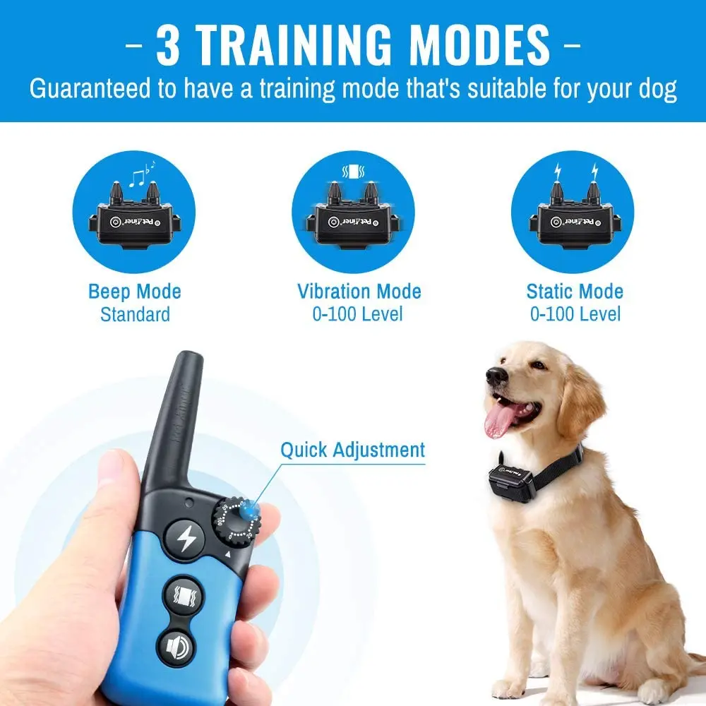 dog training collar (4)