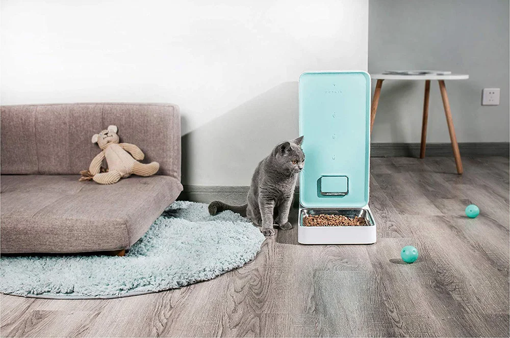 81rfS6Nw-XL._SL1500_