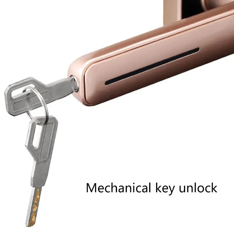 1Set Smart Electronic Door Lock Biometric Fingerprint Lock with Key for Home Kit