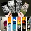 Mobile Phone Accessories