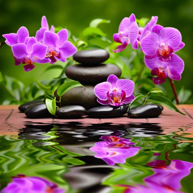 HTB1Bgn7aOnrK1Rjy1Xcq6yeDVXaq