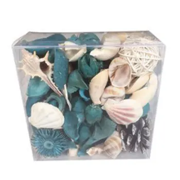 

Home Furnishing Interior Decoration Aromatherapy Dyeing Plant Deodorant Dried Flower with Shells in The Ocean