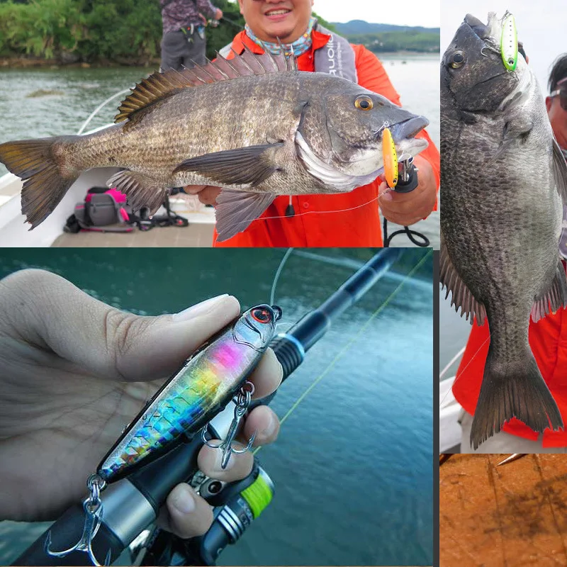Fishing Gear Best Saltwater Topwater Lures Floating New Fishing