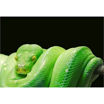 

ArtBack 5d diy diamond painting snake full square animal diamond mosaic green snake skull art diamond embroidery