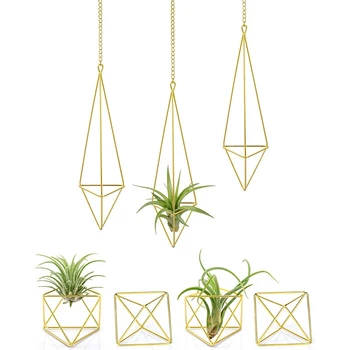 

7 Pcs Air Plant Stand Geometric Flower Pot,Hanging Plane Stand,Air Fern Display Stand,Suitable for Home Office Wedding