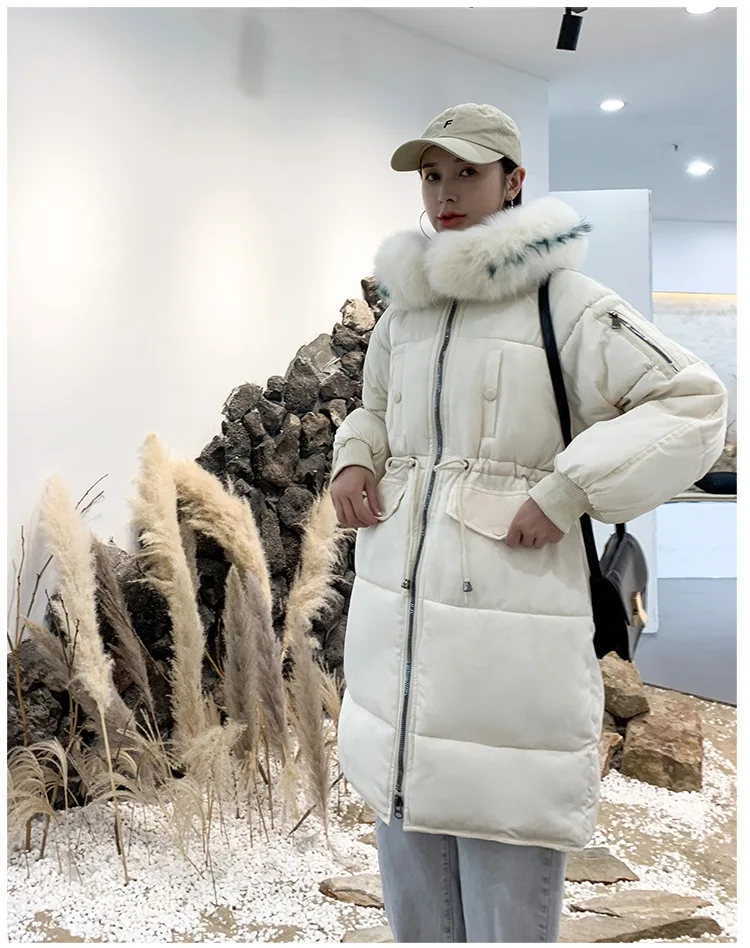 Cotton_20.jpg