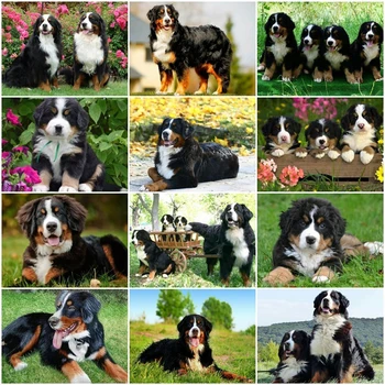 

5D DIY Diamond Embroidery Full Display Animal Dog Full Square Rhinestones Mosaic Diamond Painting Home Decoration Gift