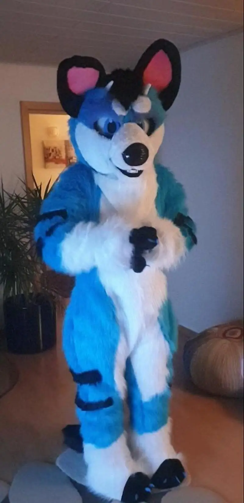 Husky Long Fur Dog Fox Mascot  Head  Fursuit Party Cosplay Game Adult