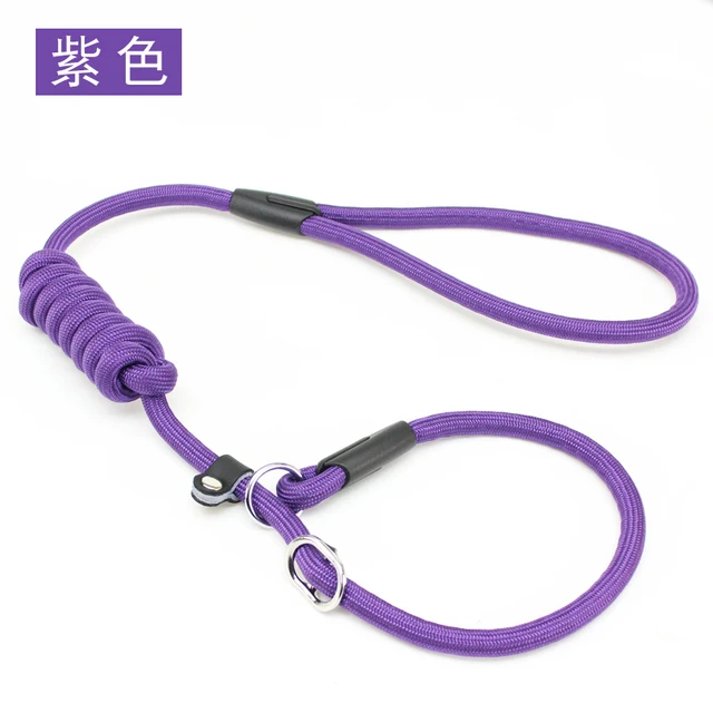 purple retractable leash