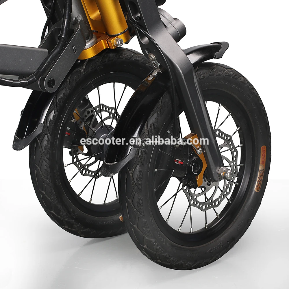 Cheap E6-7  Patent Desgin Ecorider  electric bike for adults 30km/h,3 wheel electric bike 250w 22