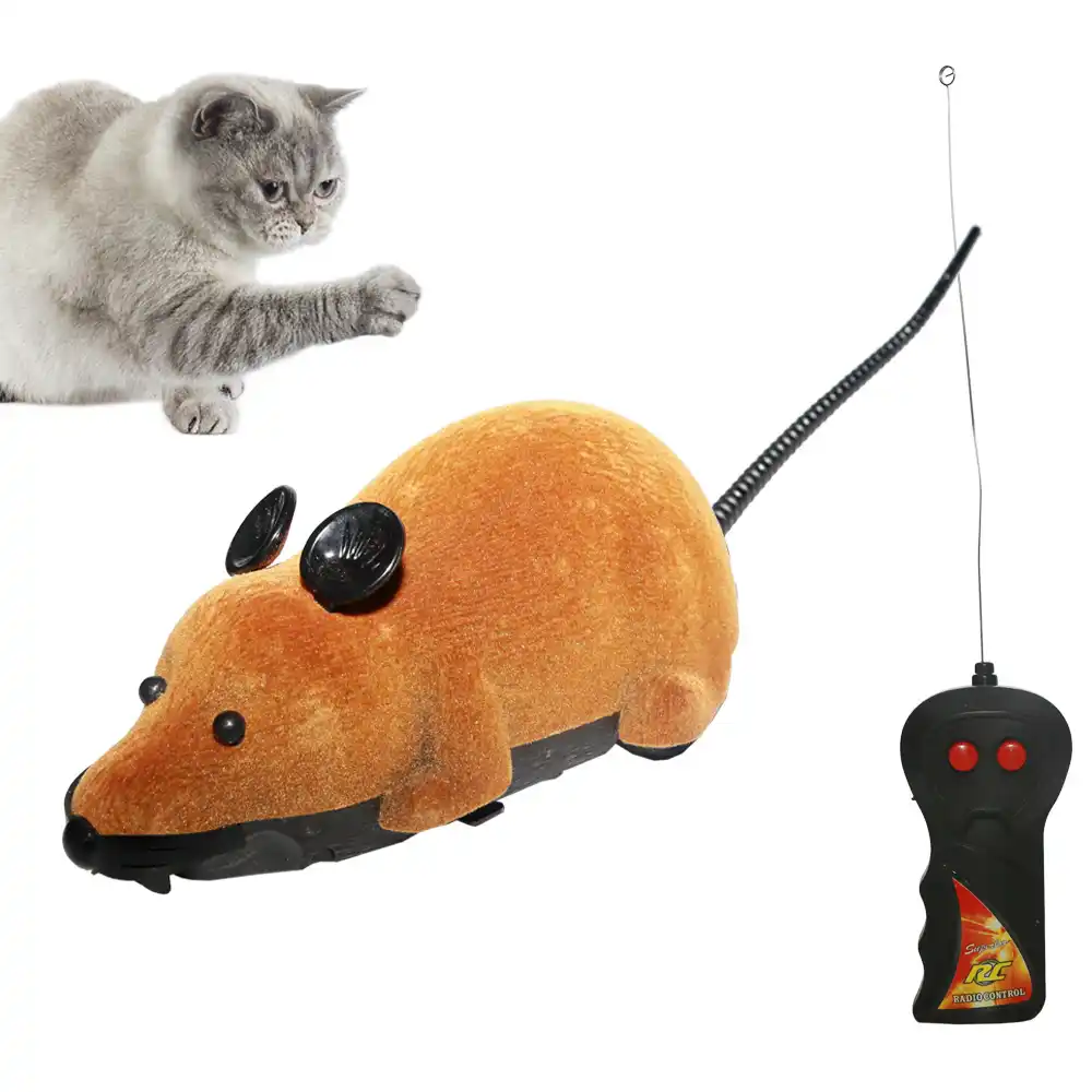 remote cat toys