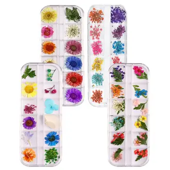 

4 Boxes Durable Lightweight Elegant Decorative Beautiful Nail Art Tool Nail Dried Flower Co-worker Family Friends