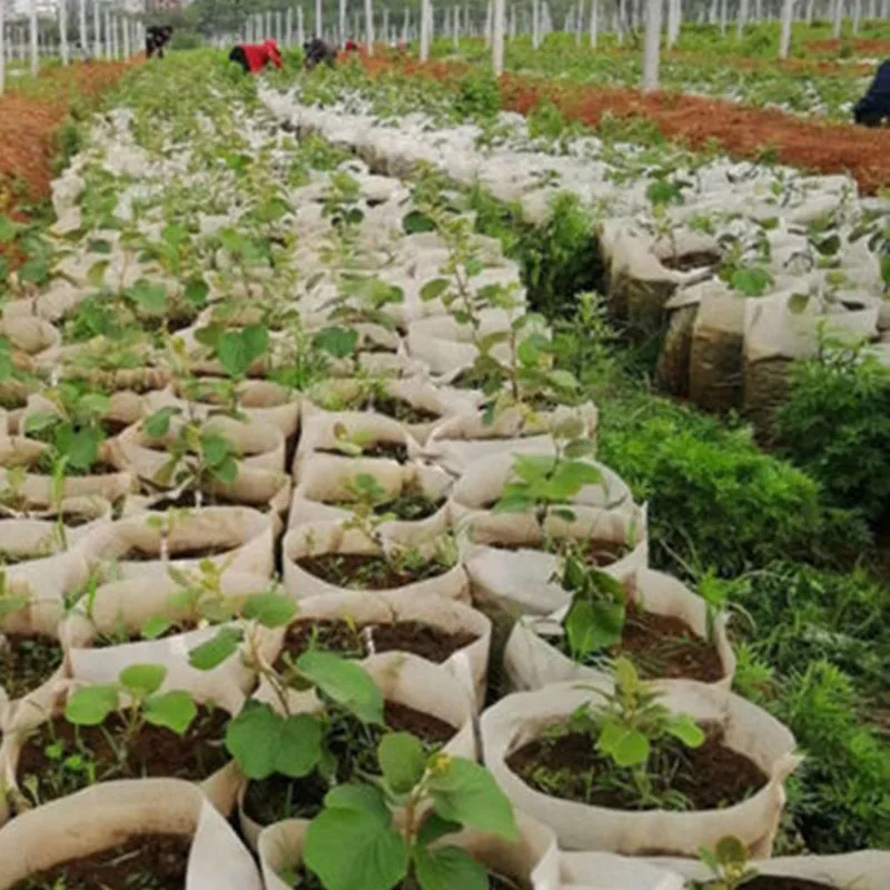 200 шт биоразлагаемые нетканые мешки для питомника растение выращивание рассады посадочный мешок для томатов, лоз, альпинизма розы огурцы