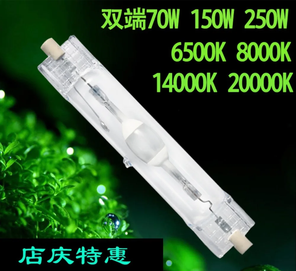 截屏2020-10-03上午9.58.20