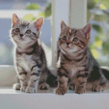 5D алмазная живопись фотографии на заказ полная квадратная Алмазная мозаика картина с круглыми стразами алмазами вышивка алмазная живопись