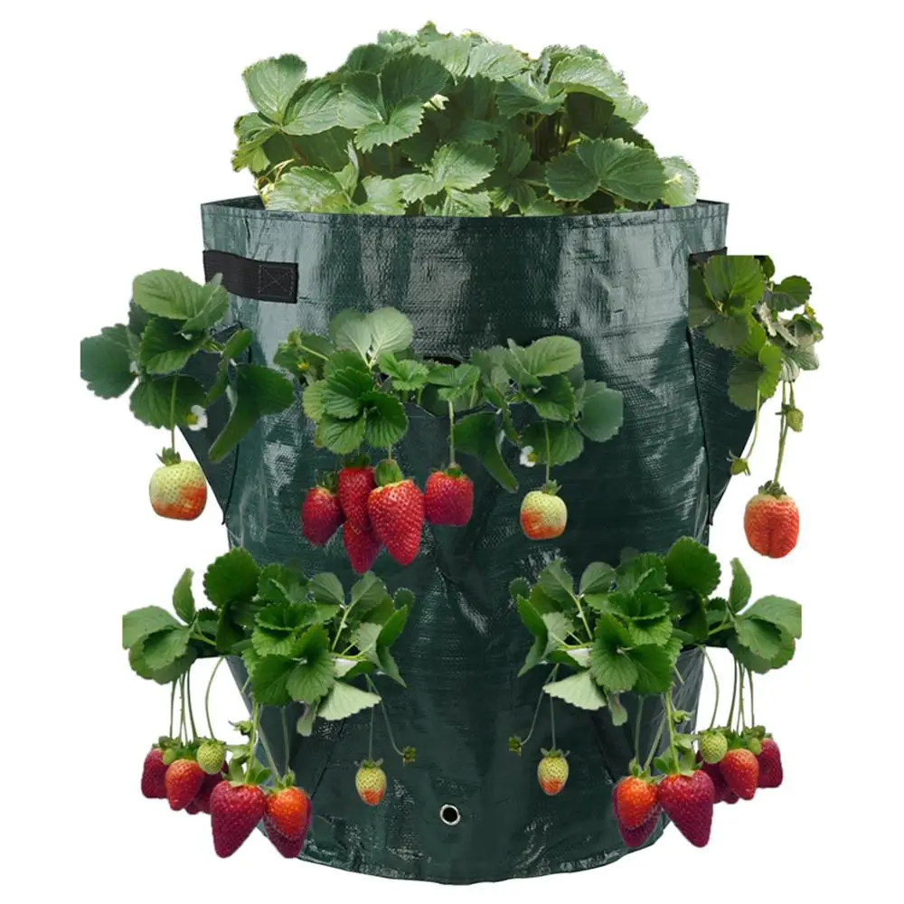 DIY Картофельная клубника выращивание Плантатор из полиэтиленовой ткани посадки контейнер мешок овощная садоводческая утолщенная садовая горшок рост посевов мешок