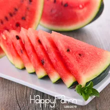 Новинка! 50 шт. общий арбуз сад вкусные китайские фрукты дыня Флорес бонсай растения плантасы,# 1ELH5X