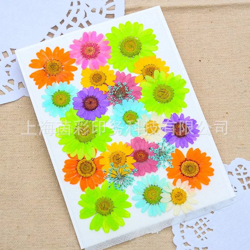 

Mint Dried Flower Material Box Children DIY Plant Pasteup Floral Bag Real Flowers ya hua Material