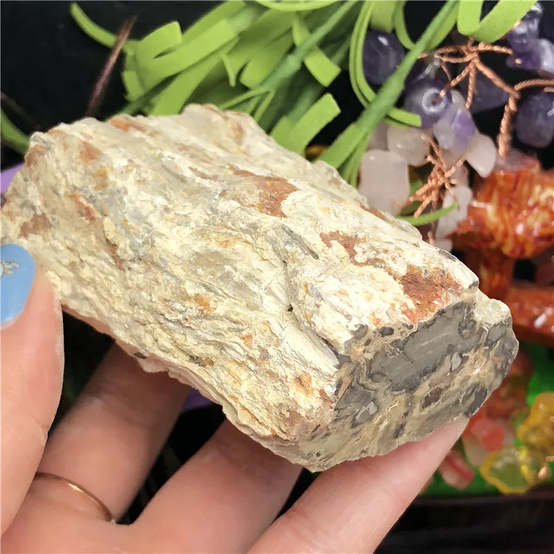 Природный окаменелый деревянный окаменелый камень сырой Рок Кристалл кварц минеральный с лечебным действием, образцы рейки домашний декор - Цвет: 192g