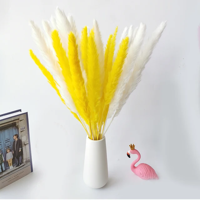 30pcs Small Pampas Grass Bulrush Natural Dried Phragmites Christmas Home Decor Diy Dried Real Flowers Bouquet Flower Arrangement Mix C