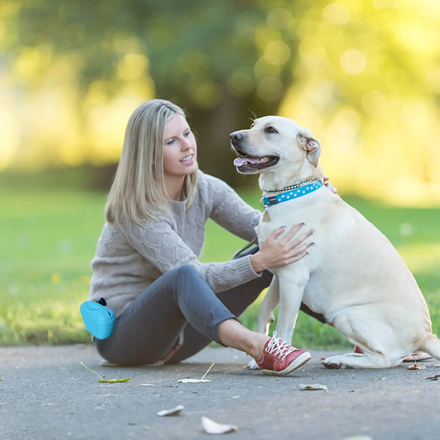 Portable Dog Treat Bag Silicone Snack Food Bait Reward Pocket Outdoor Feed Storage Containers Waist Pouch For Leash