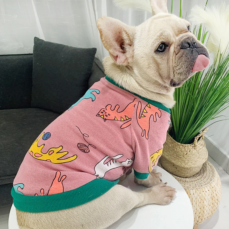 blue french bulldog teddy
