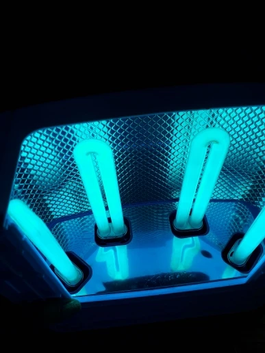 UTB8BVwTOtoSdeJk43Owq6ya4XXa3