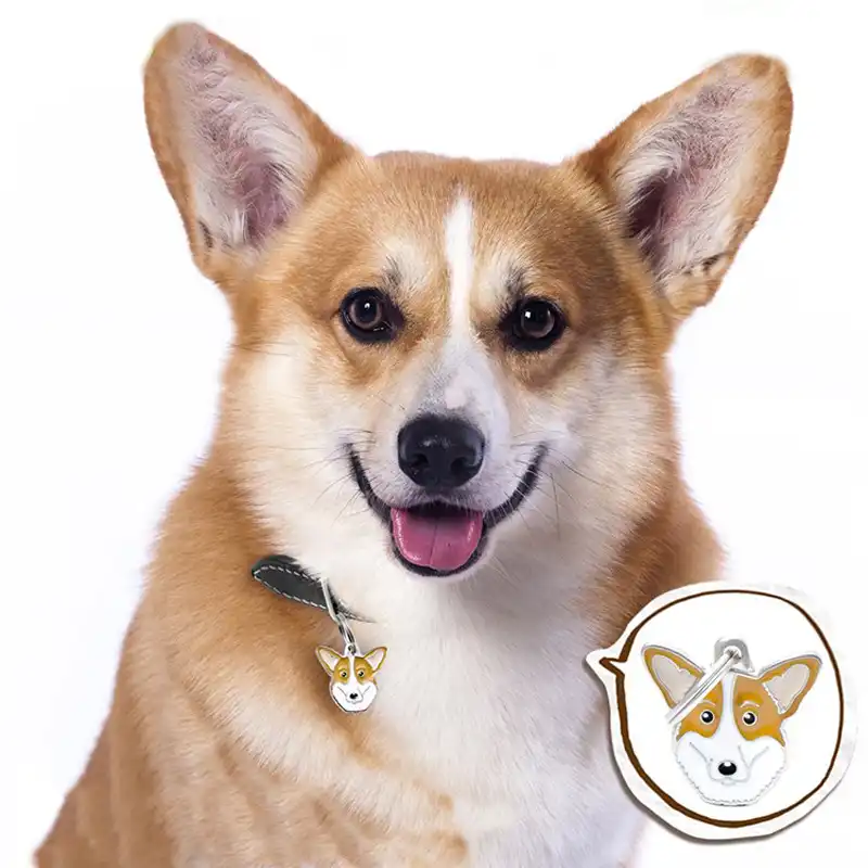 Ração para cães e gatos no atacado Clearance