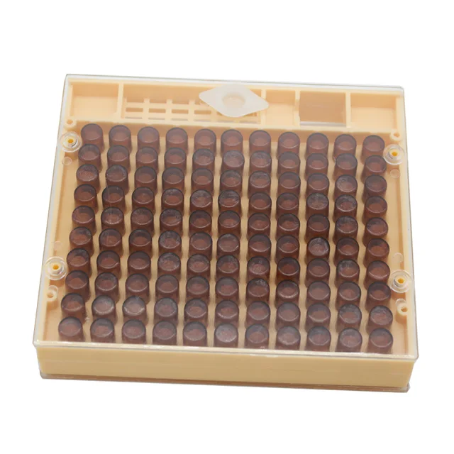 Méhészet Queen Tenyésztő Cella-Készlet Felszerelés Apikulturális Rendszer Méhkártya Queen-Lee Set Király Szerszámok Beszállítói Cellái - Image 6