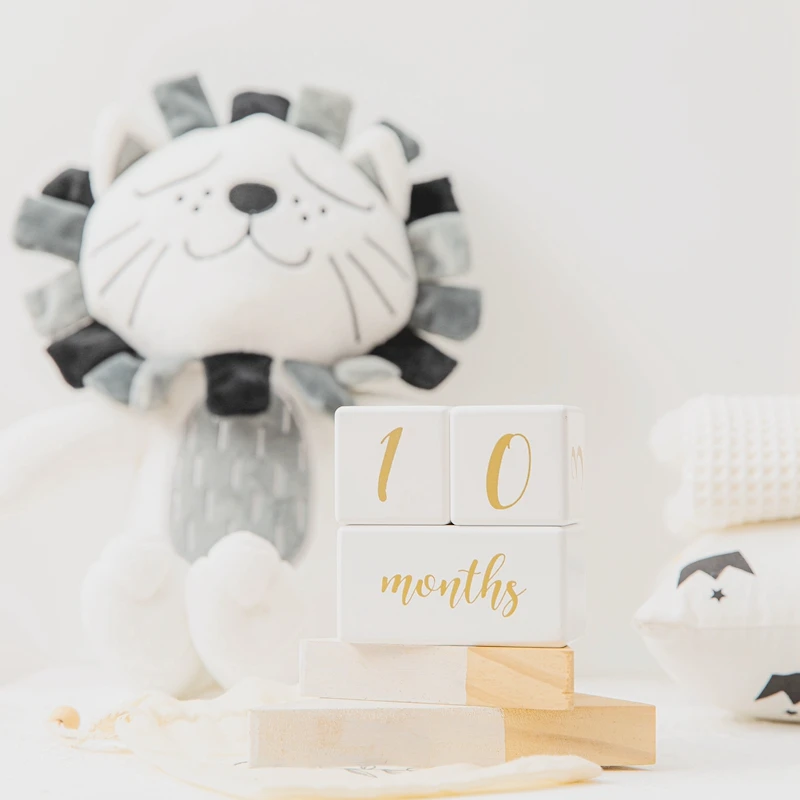 1set Baby Milestone Karten Holz Block Weiß Baby Geburt Monat Anzahl Gedenk Milestone Souvenir Neugeborenen Foto Zubehör – Detail 11