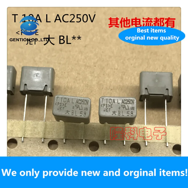 

10 шт. 100% Новый оригинальный BL100 квадратный большой объемный предохранитель T10AL AC250V большой BL 10A 250V серый Dadong импортный