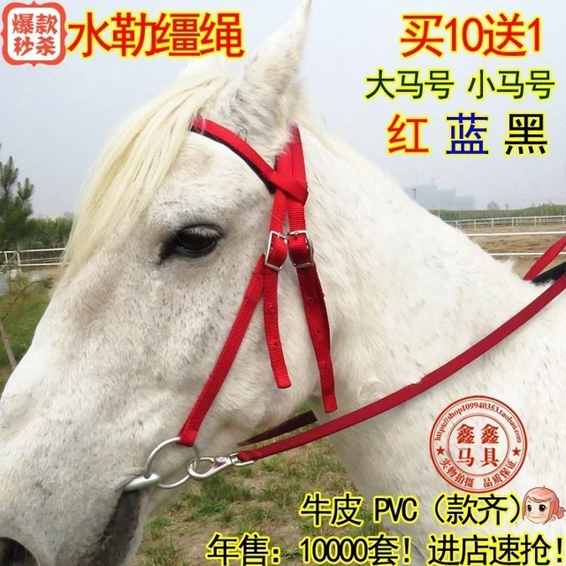 Saddle Horse Harness Saddle Tourist Saddle Faucet Water Reins Horse Halter  Dragon Cover Mouth Trays Iron Horse Chews - AliExpress
